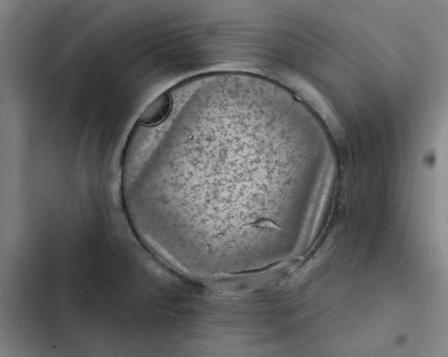 X0000102461284200808221610