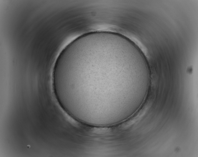 X0000102461285200808221610