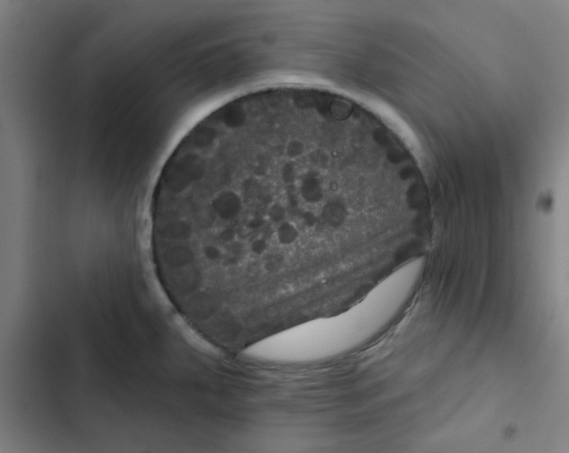 X0000102461287200808221610