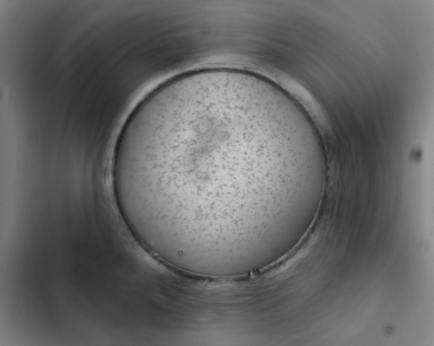 X0000102461288200808221610