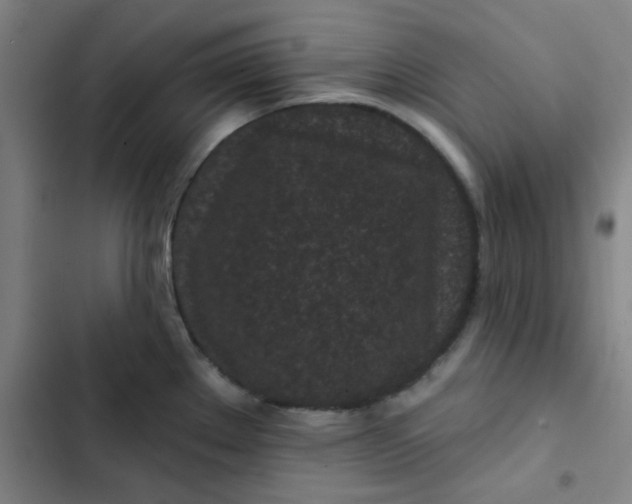 X0000102461289200808221610