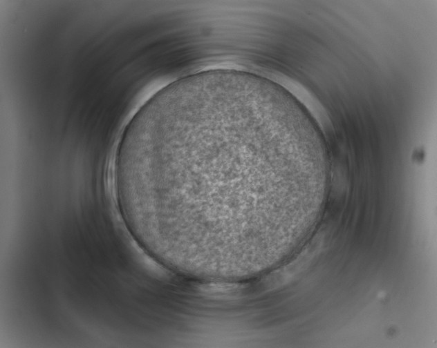 X0000102461290200808221610