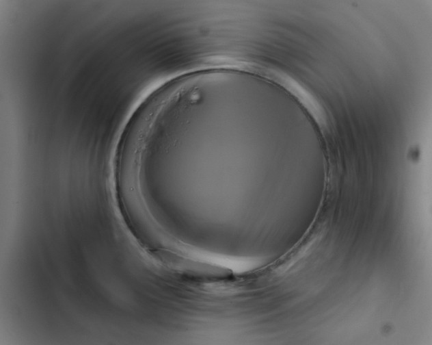 X0000102461291200808221610