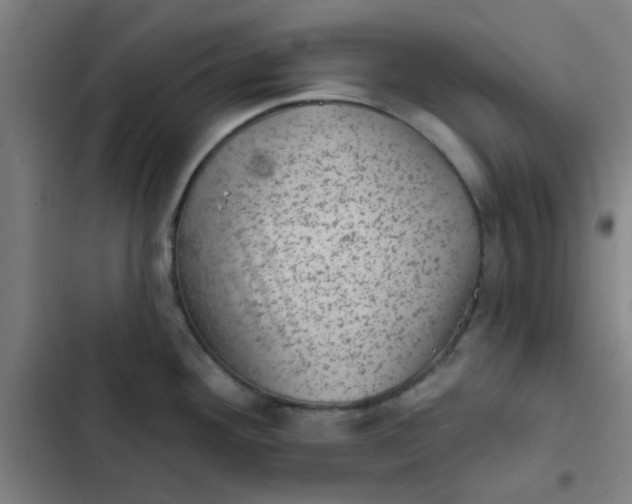 X0000102461292200808221610