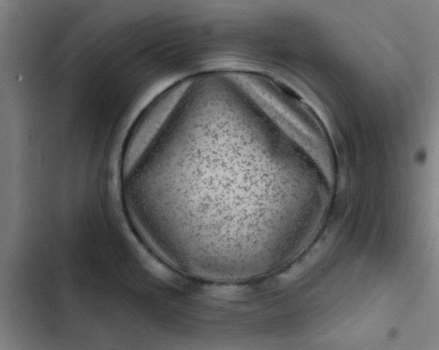 X0000102461293200808221610