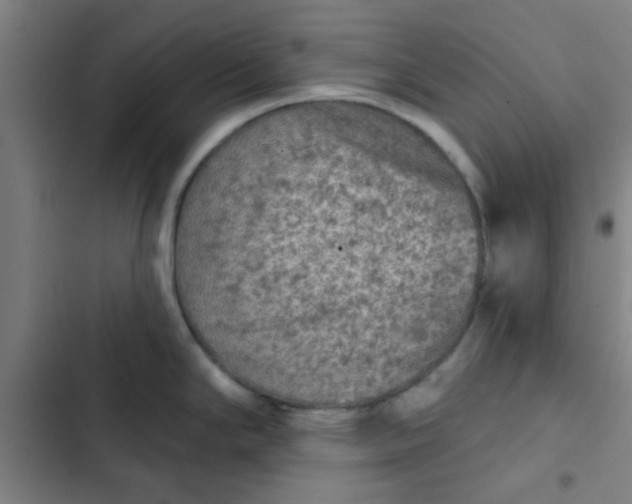 X0000102461294200808221610