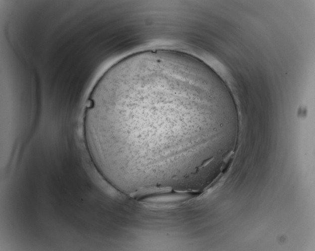 X0000102461296200808221610