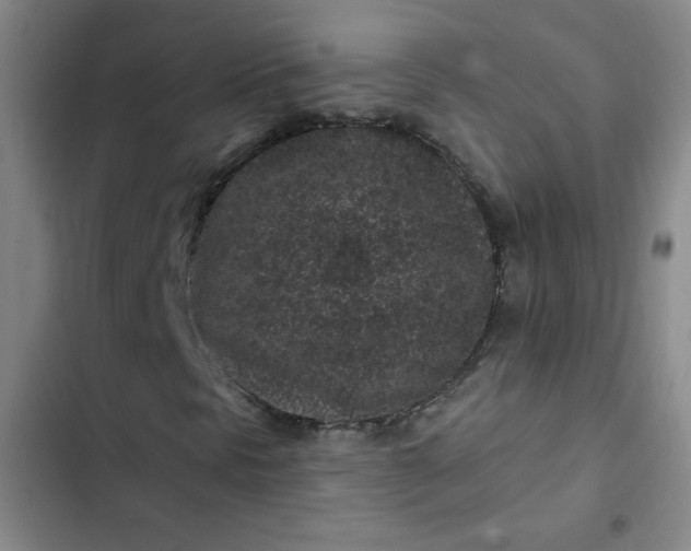 X0000102461297200808221609