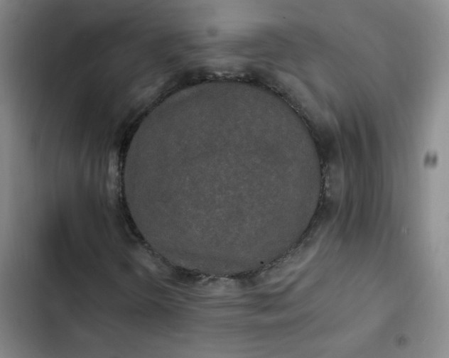 X0000102461298200808221609