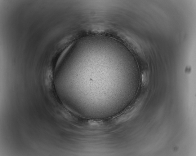 X0000102461299200808221609