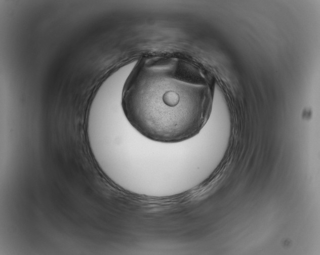 X0000102461300200808221609