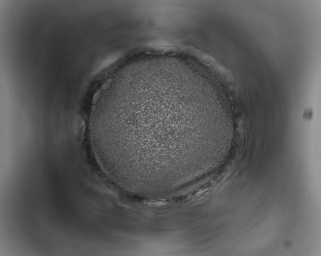 X0000102461302200808221609