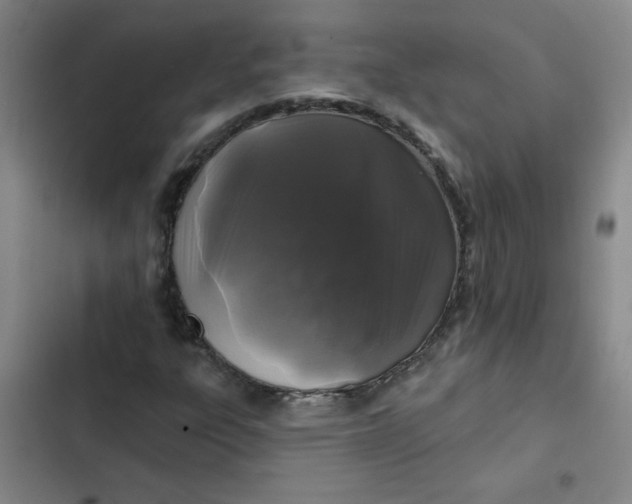 X0000102461303200808221609