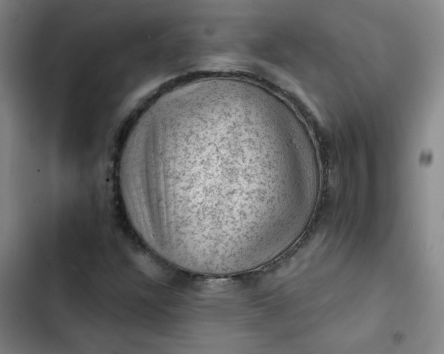 X0000102461304200808221609