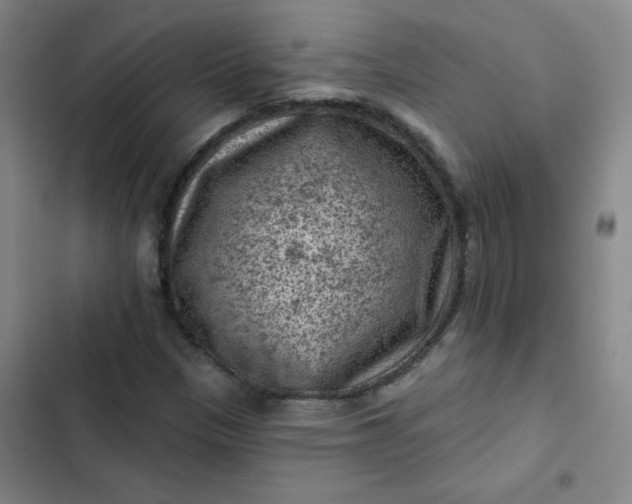 X0000102461305200808221609