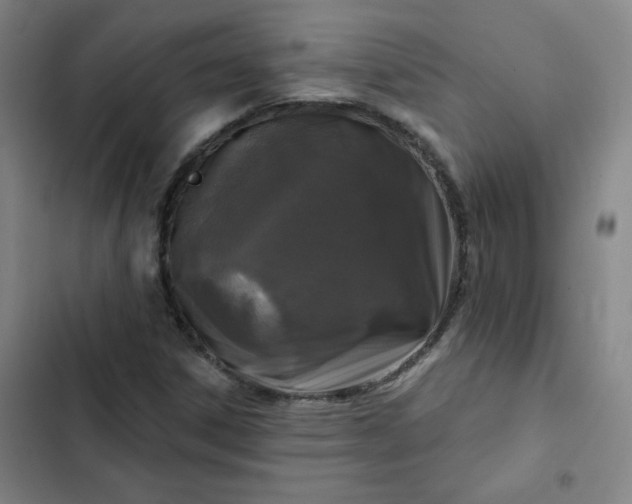 X0000102461306200808221609