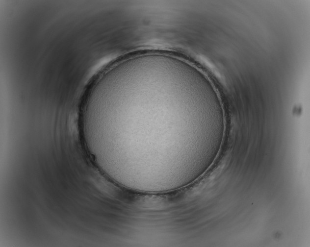 X0000102461307200808221609