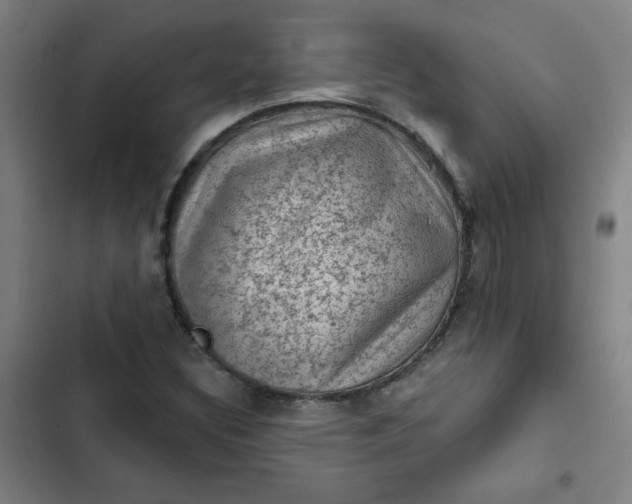 X0000102461308200808221609