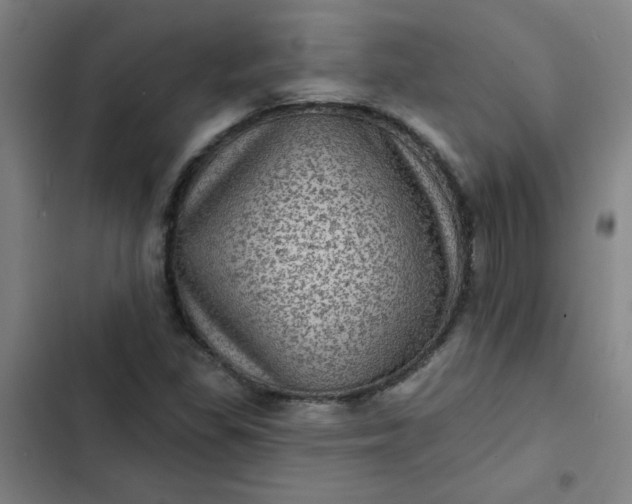 X0000102461309200808221609