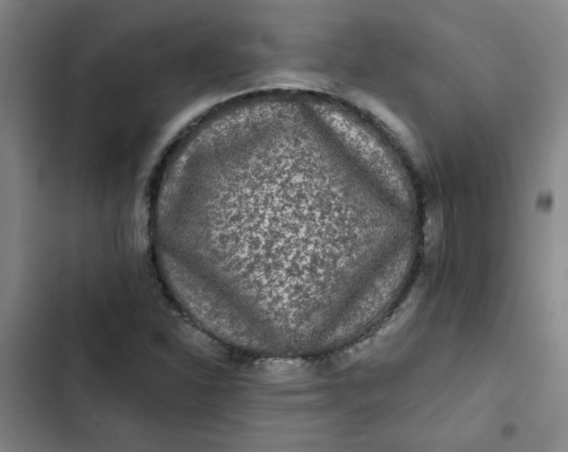 X0000102461310200808221609