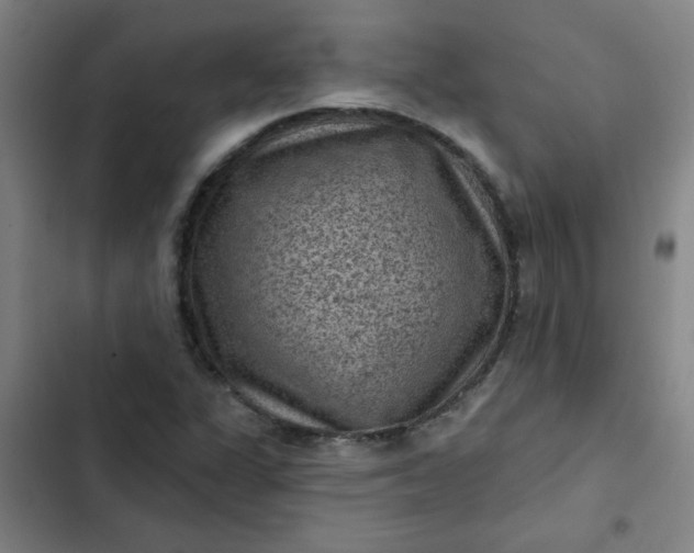 X0000102461311200808221609