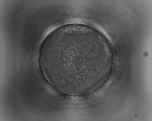 X0000102461312200808221609