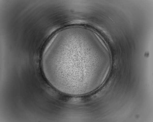 X0000102461313200808221609