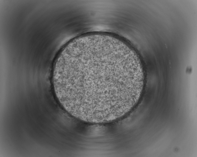 X0000102461314200808221609