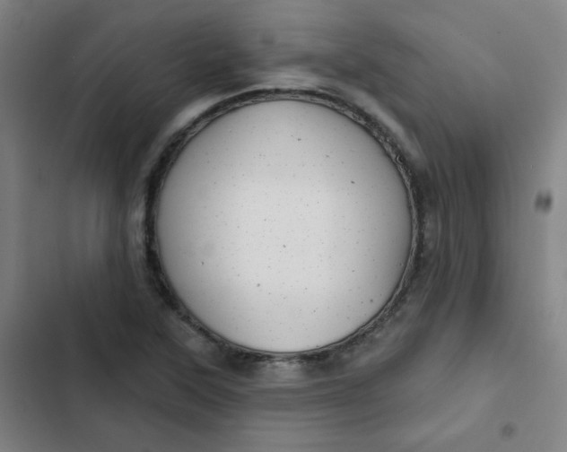 X0000102461315200808221609