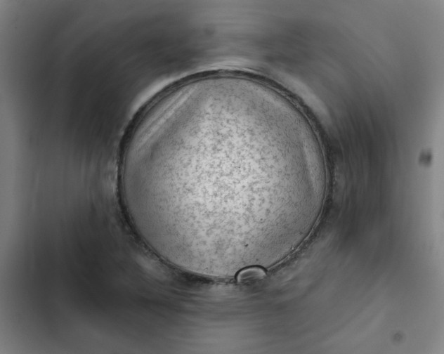 X0000102461316200808221609