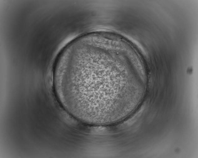 X0000102461317200808221609