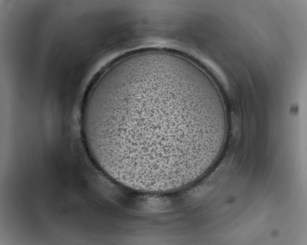 X0000102461318200808221609