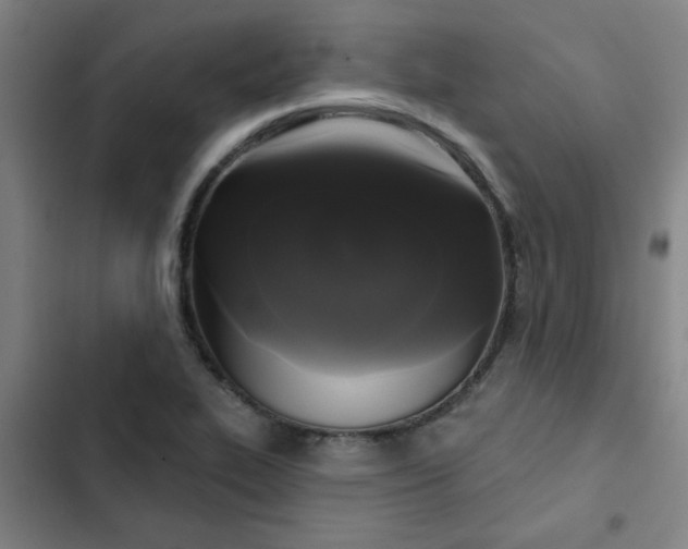 X0000102461319200808221609