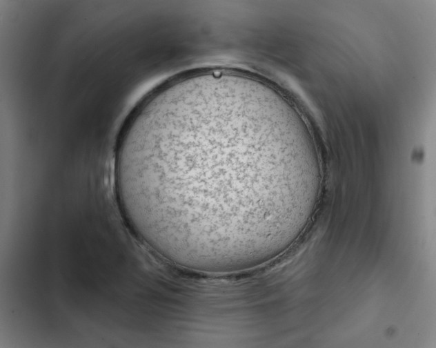 X0000102461320200808221609