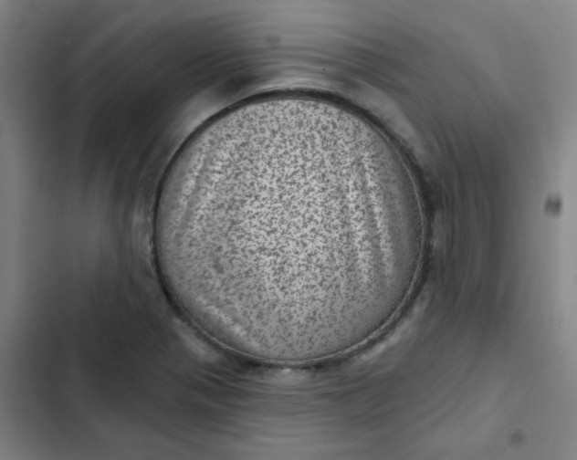 X0000102461321200808221609