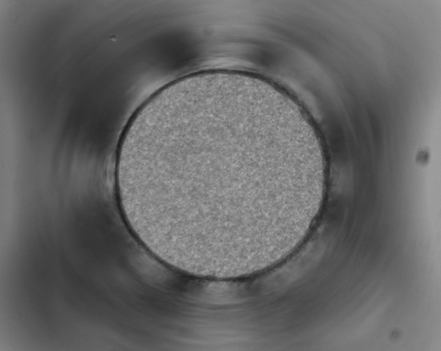 X0000102461322200808221610