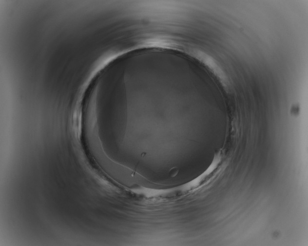 X0000102461323200808221610