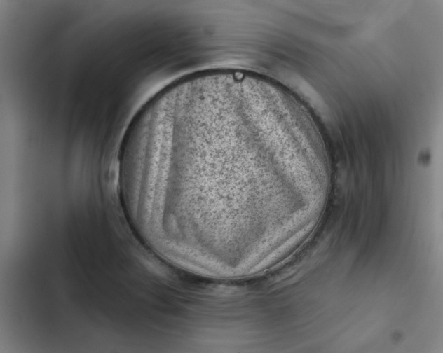 X0000102461324200808221610