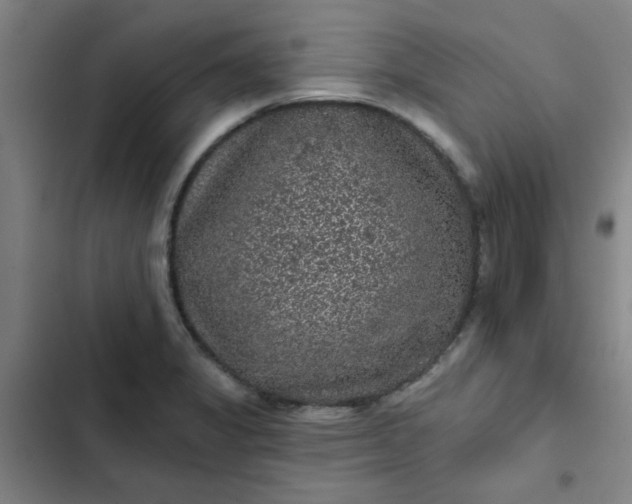 X0000102461325200808221610