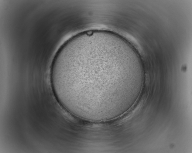 X0000102461326200808221610