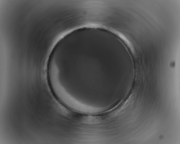 X0000102461327200808221610