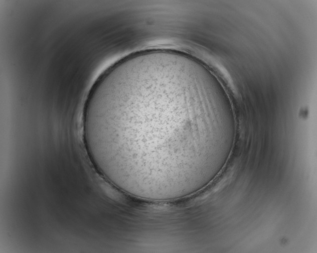 X0000102461328200808221610