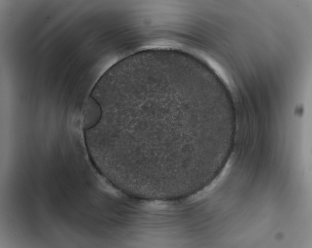 X0000102461329200808221610