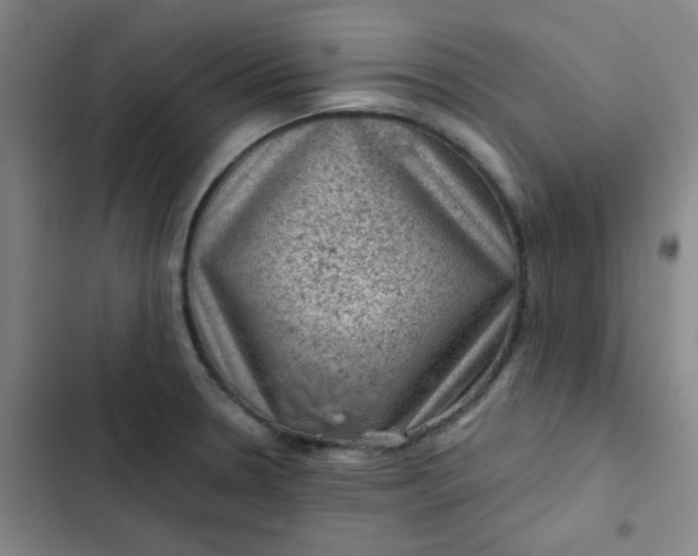 X0000102461330200808221610