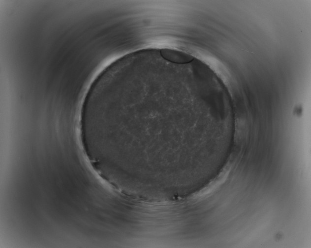 X0000102461331200808221610