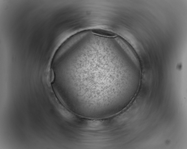 X0000102461332200808221610