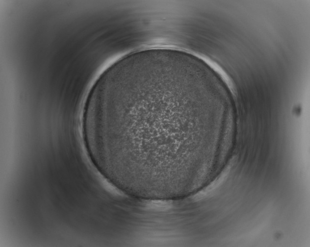 X0000102461333200808221610