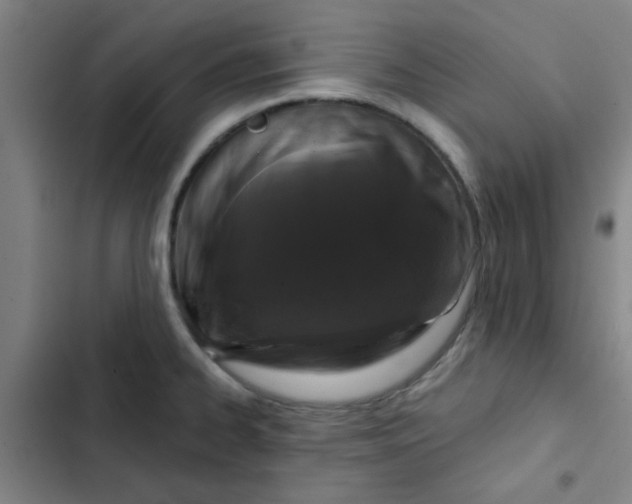 X0000102461334200808221610