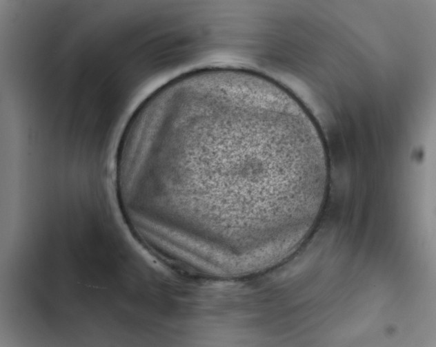 X0000102461335200808221610