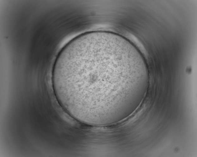 X0000102461336200808221610